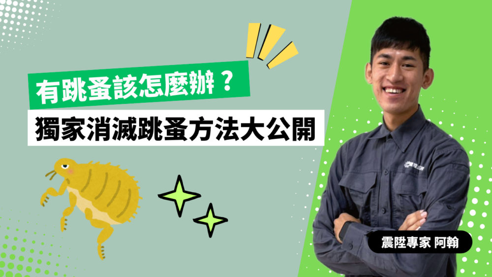 Read more about the article 有跳蚤該怎麼辦？震陞除蟲公司告訴你專家獨家的消滅跳蚤祕密與方法！