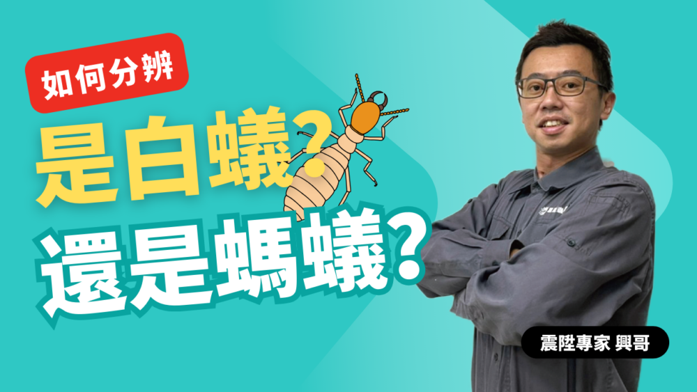 Read more about the article 白蟻及螞蟻如何分辨？除蟻方法不一樣嗎？讓震陞除蟲公司來與您分享