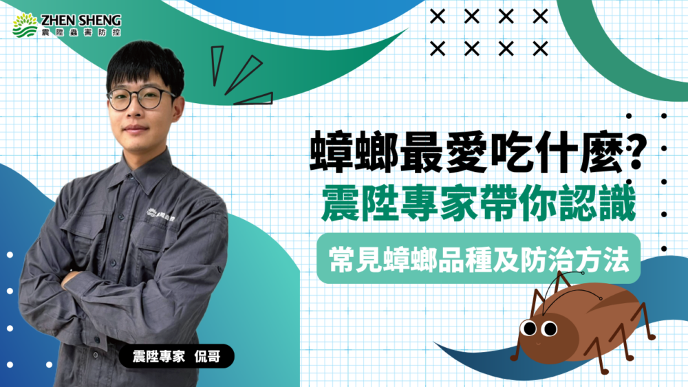 Read more about the article 蟑螂最愛吃什麼？震陞除蟲公司帶您認識常見蟑螂品種與防治方法！