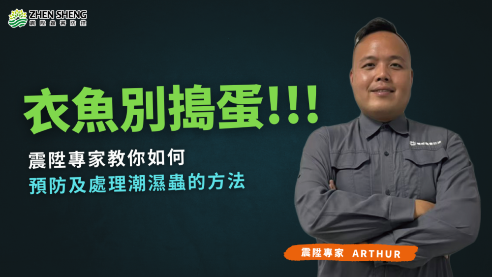 Read more about the article 衣魚別再搞破壞！震陞教你如何預防潮濕蟲，保護家中書籍與衣物！