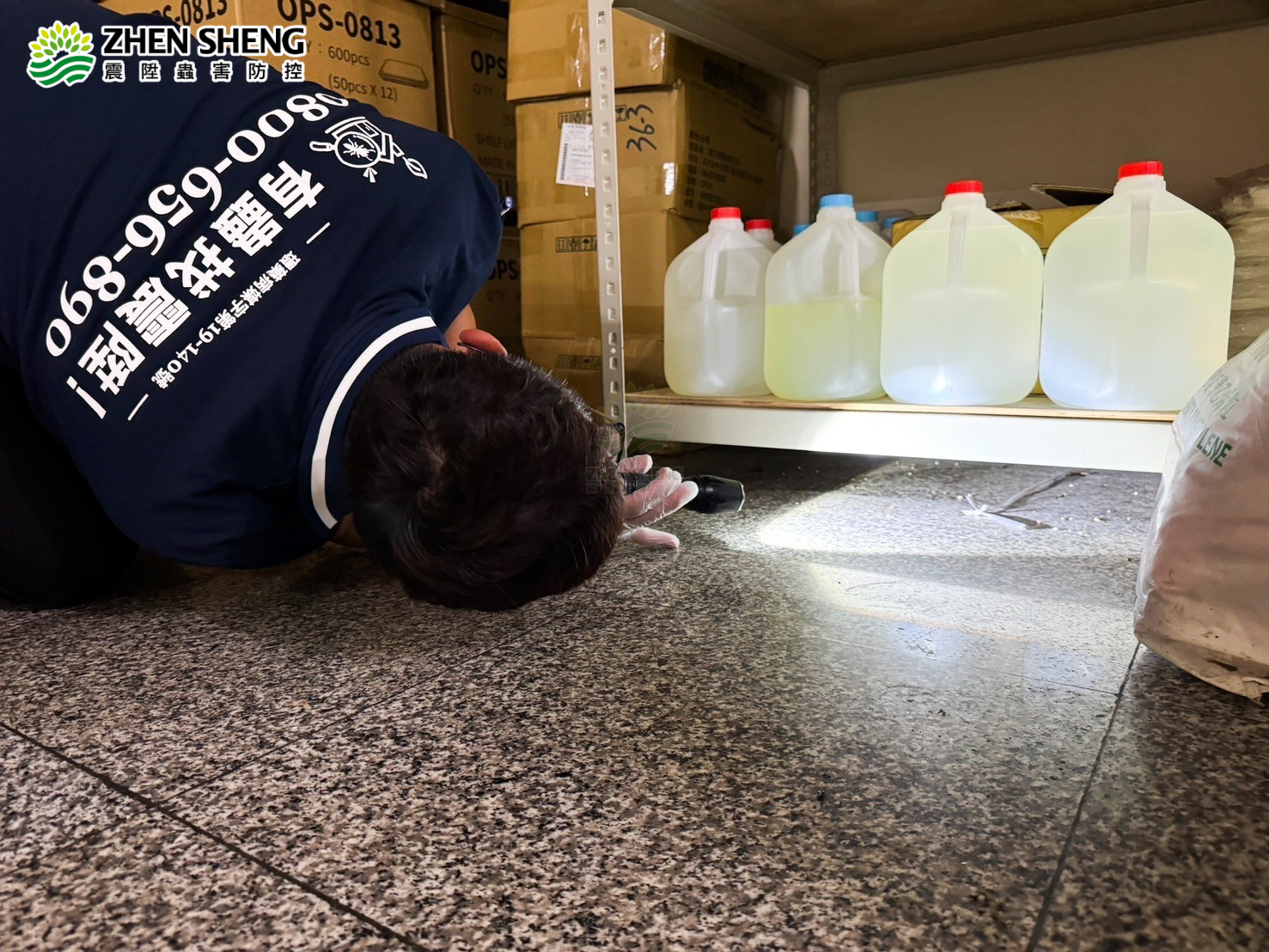 震陞蟲害防控-除蟲公司-消毒公司-滅鼠公司-除老鼠-鼠害防治-家裡有老鼠-工廠有老鼠-天花板有老鼠-辦公室有老鼠(3) 震陞蟲害防控-除蟲公司-消毒公司-滅鼠公司-除老鼠-鼠害防治-家裡有老鼠-工廠有老鼠-天花板有老鼠-辦公室有老鼠(3)