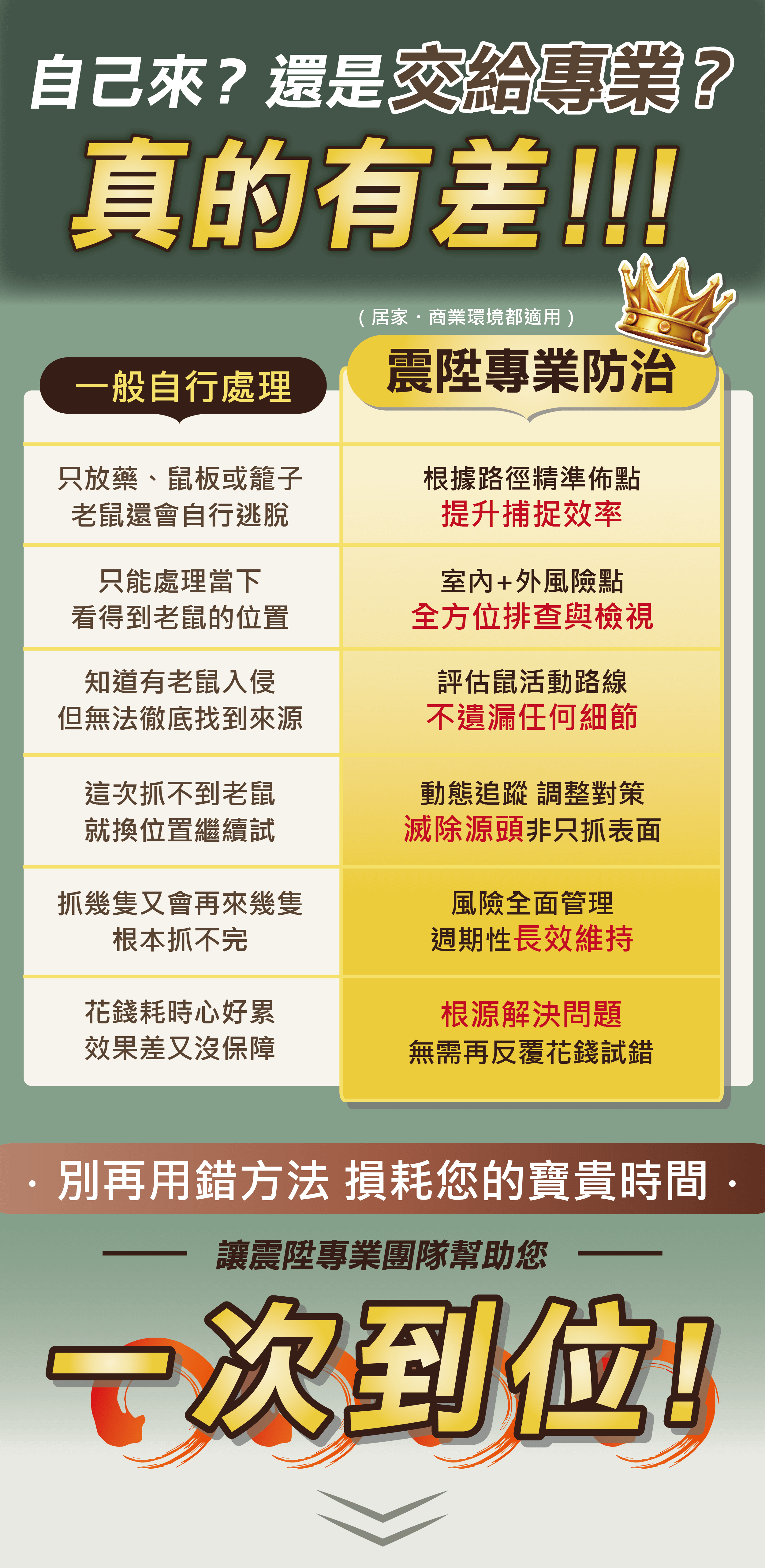 自己處理老鼠與震陞專業除蟲消毒公司處理老鼠差異_捕鼠專家