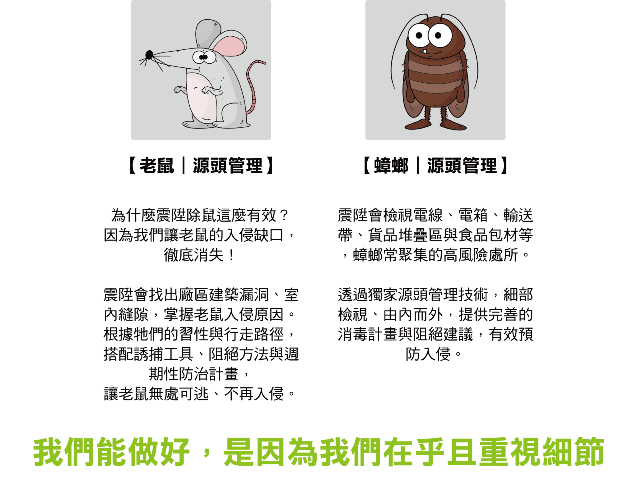 蟑螂_老鼠_震陞除蟲公司_消毒公司_除蟲鼠推薦公司_工廠消毒_辦公室消毒_台中消毒公司推薦_台中除蟲公司推薦_中部消毒公司推薦_中部除蟲公司推薦_消毒公司推薦_除蟲公司推薦_AIB蟲害管理 蟑螂_老鼠_震陞除蟲公司_消毒公司_除蟲鼠推薦公司_工廠消毒_辦公室消毒_台中消毒公司推薦_台中除蟲公司推薦_中部消毒公司推薦_中部除蟲公司推薦_消毒公司推薦_除蟲公司推薦_AIB蟲害管理
