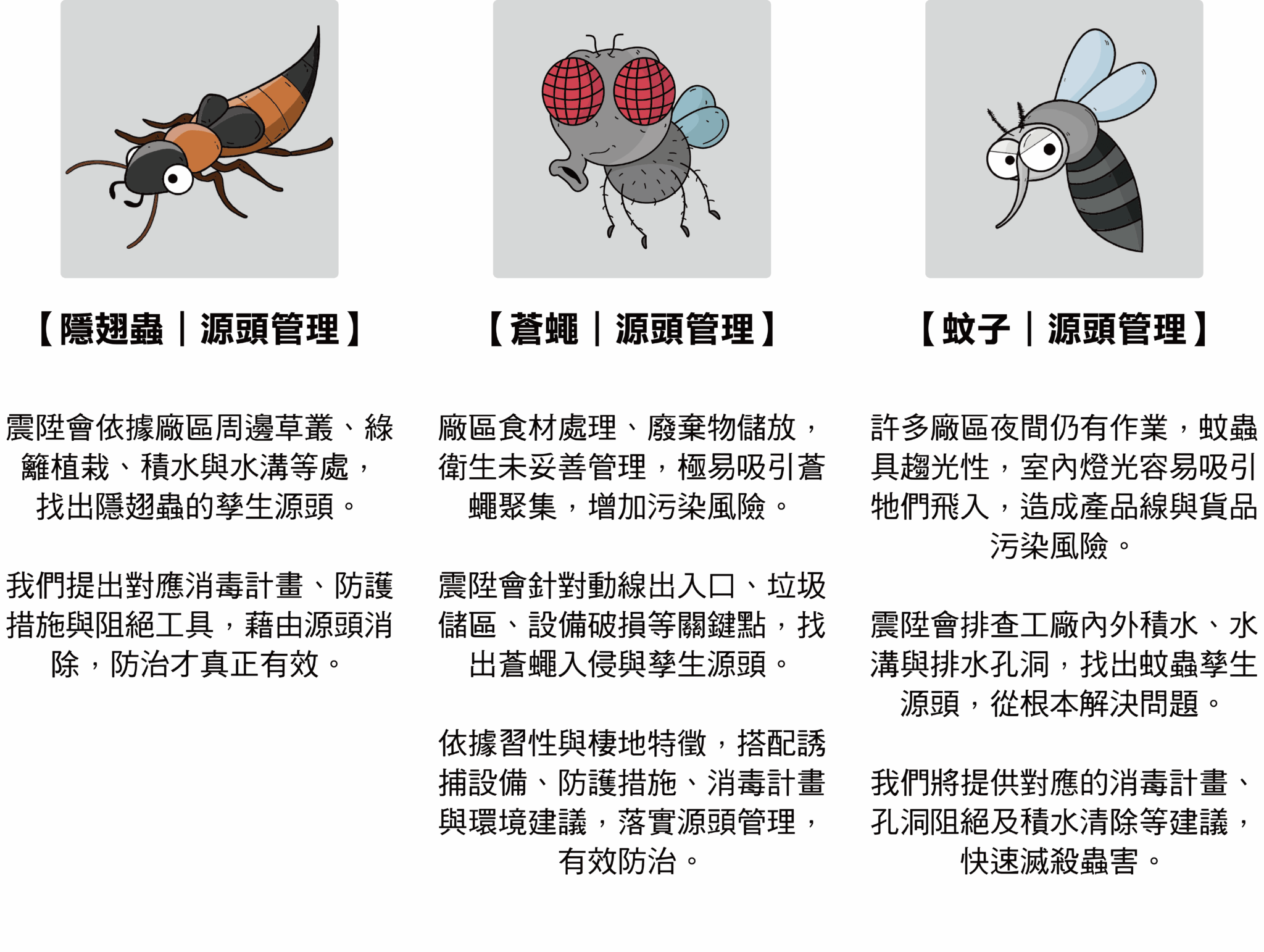 隱翅蟲_蒼蠅_蚊子_震陞除蟲公司_消毒公司_除蟲鼠推薦公司_工廠消毒_辦公室消毒_台中消毒公司推薦_台中除蟲公司推薦_中部消毒公司推薦_中部除蟲公司推薦_消毒公司推薦_除蟲公司推薦_AIB蟲害管理 隱翅蟲_蒼蠅_蚊子_震陞除蟲公司_消毒公司_除蟲鼠推薦公司_工廠消毒_辦公室消毒_台中消毒公司推薦_台中除蟲公司推薦_中部消毒公司推薦_中部除蟲公司推薦_消毒公司推薦_除蟲公司推薦_AIB蟲害管理