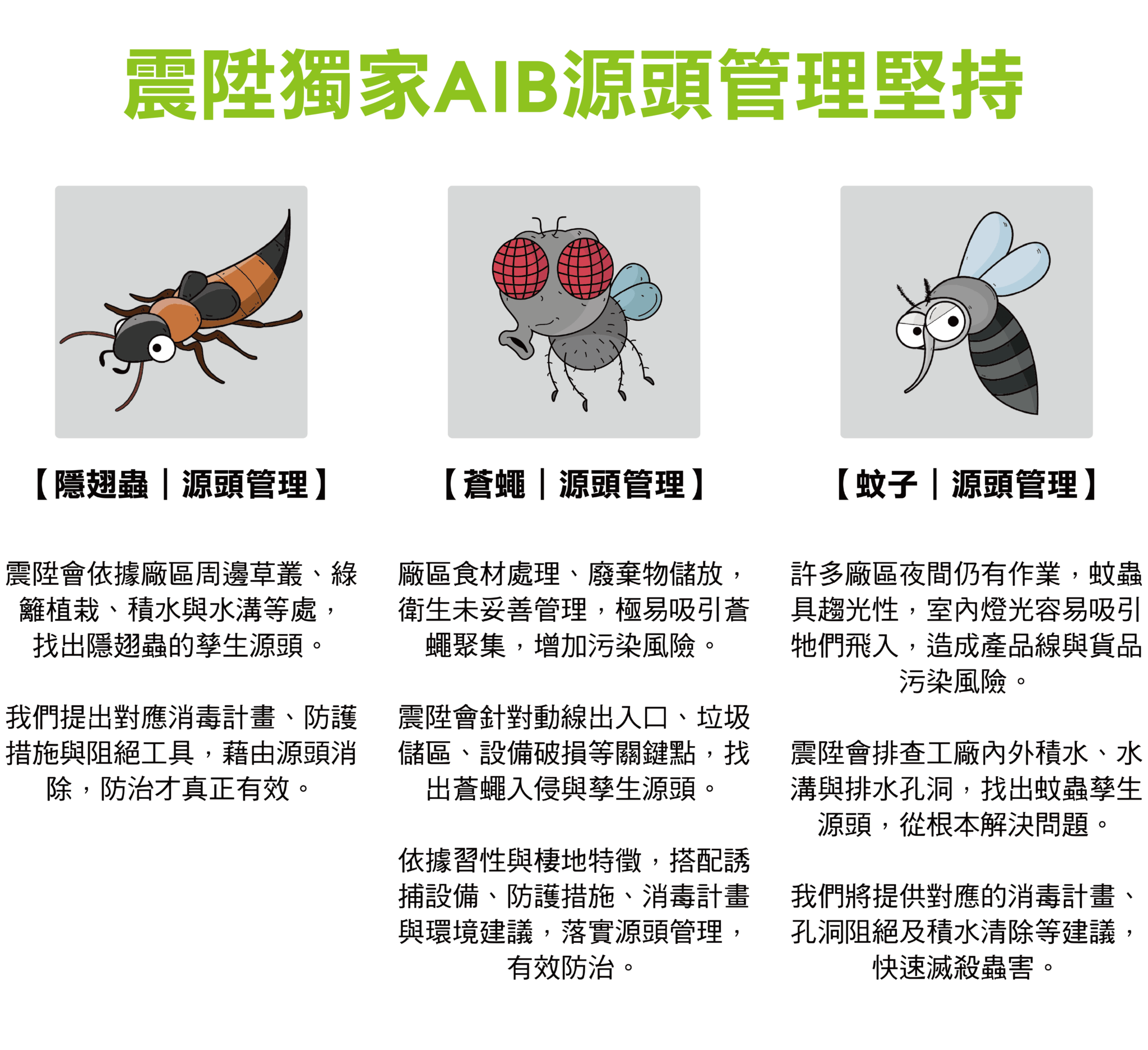 隱翅蟲_蒼蠅_蚊子_震陞除蟲公司_消毒公司_除蟲鼠推薦公司_工廠消毒_辦公室消毒_台中消毒公司推薦_台中除蟲公司推薦_中部消毒公司推薦_中部除蟲公司推薦_消毒公司推薦_除蟲公司推薦_AIB蟲害管理 隱翅蟲_蒼蠅_蚊子_震陞除蟲公司_消毒公司_除蟲鼠推薦公司_工廠消毒_辦公室消毒_台中消毒公司推薦_台中除蟲公司推薦_中部消毒公司推薦_中部除蟲公司推薦_消毒公司推薦_除蟲公司推薦_AIB蟲害管理