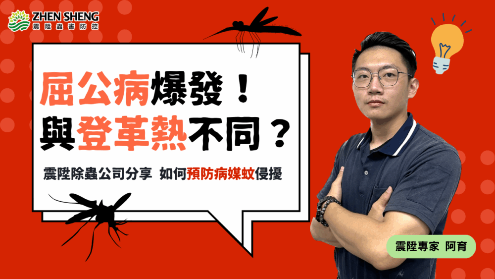 Read more about the article 屈公病爆發！與登革熱有何不同？震陞除蟲公司教您如何預防病媒蚊侵擾