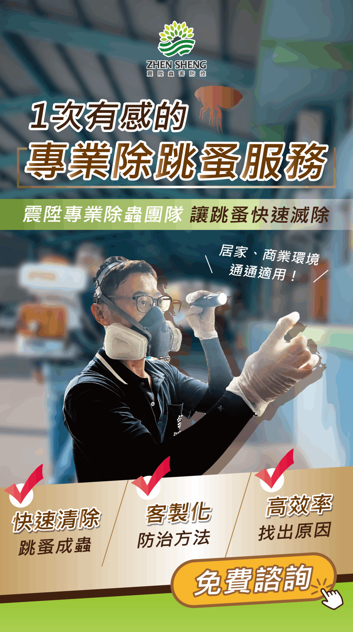 專業除跳蚤服務，震陞除蟲消毒公司讓跳蚤快速滅除的方法