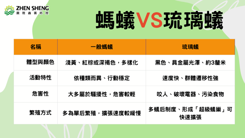 什麼是琉璃蟻？什麼是螞蟻？_遇到琉璃蟻(大隻黑色螞蟻)該怎麼辦？震陞除蟲公司教你分辨螞蟻與琉璃蟻，如何預防及防治！除螞蟻_除蟻_螞蟻_螞蟻防治_琉璃蟻防治_琉璃蟻_消毒_除�
